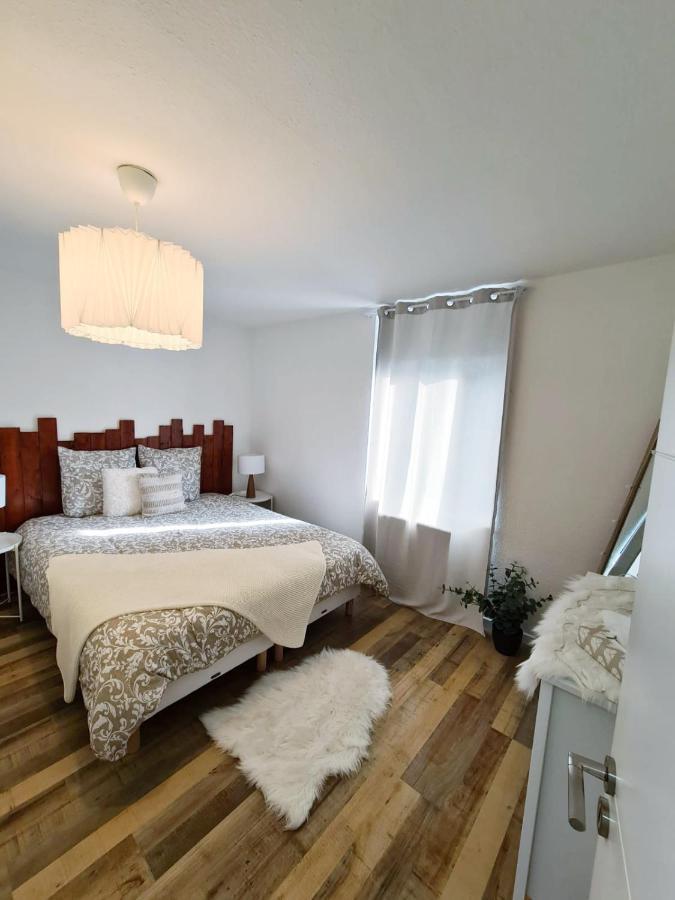 Le Raffine-Parking Prive-Proche Frontiere Bale Apartment Saint-Louis  Ngoại thất bức ảnh