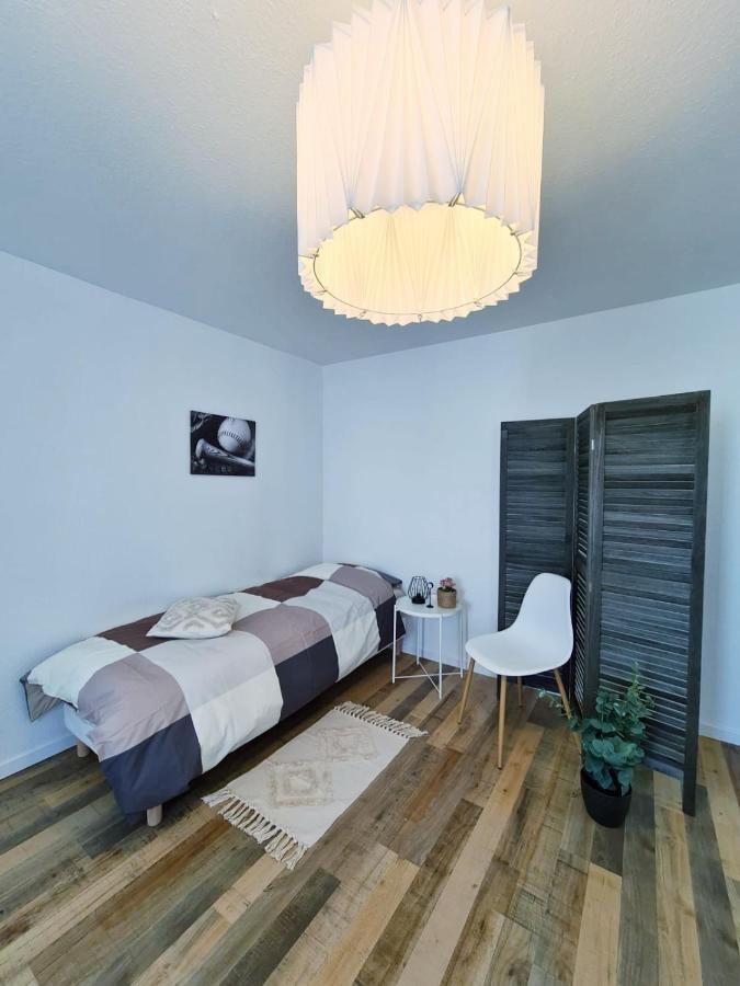 Le Raffine-Parking Prive-Proche Frontiere Bale Apartment Saint-Louis  Ngoại thất bức ảnh