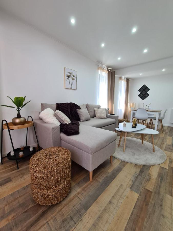 Le Raffine-Parking Prive-Proche Frontiere Bale Apartment Saint-Louis  Ngoại thất bức ảnh