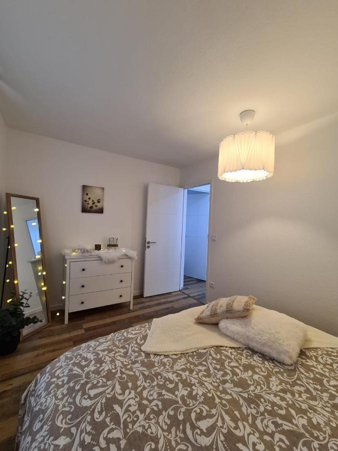 Le Raffine-Parking Prive-Proche Frontiere Bale Apartment Saint-Louis  Ngoại thất bức ảnh