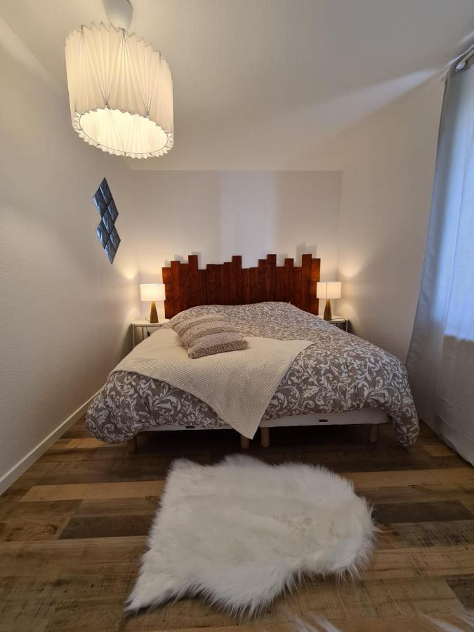 Le Raffine-Parking Prive-Proche Frontiere Bale Apartment Saint-Louis  Ngoại thất bức ảnh