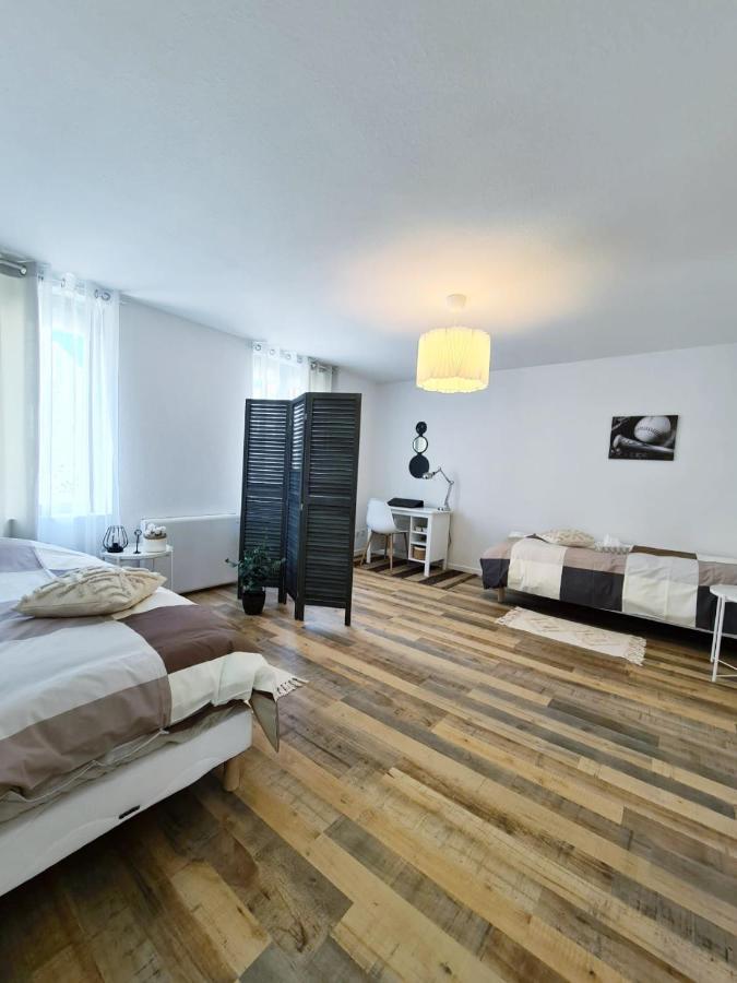 Le Raffine-Parking Prive-Proche Frontiere Bale Apartment Saint-Louis  Ngoại thất bức ảnh
